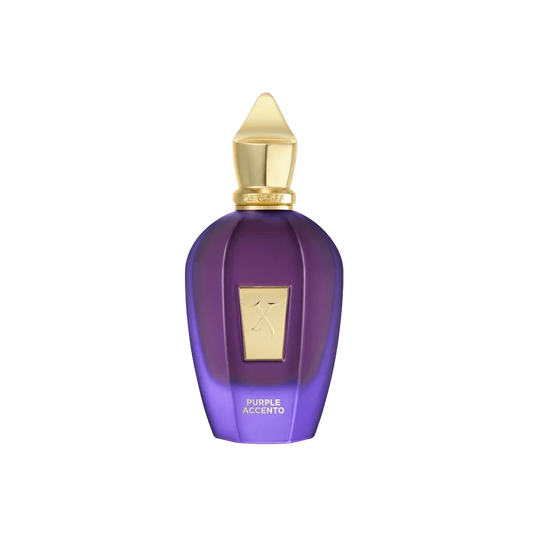 Xerjoff Purple Accento 100ml E.D.P מחיר בושם