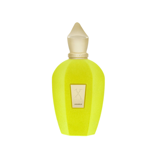 בושם Xerjoff V Amabile EDP 100ml