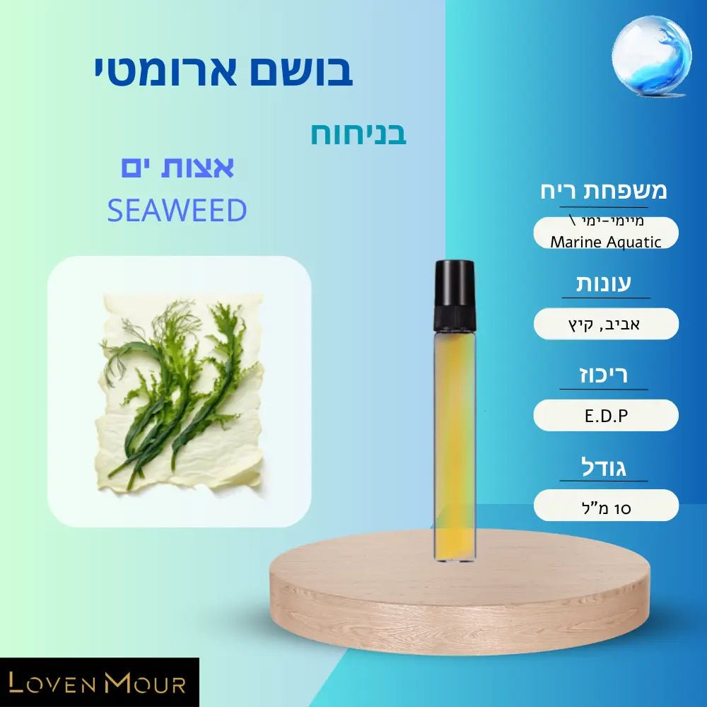 בושם בניחוח אישי 10 מ"ל E.D.P - מיימי-ימי \ Marine Aquatic - לובן מור